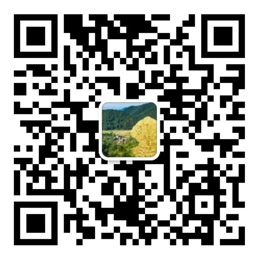 彩神8官网登录